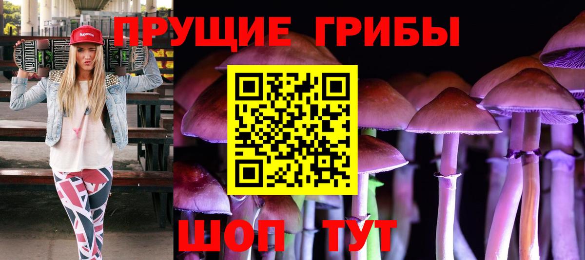 Псилоцибиновые грибы мицелий Таганрог