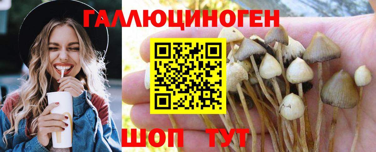 Псилоцибиновые грибы GOLDEN TEACHER  Вход с VPN  Таганрог 